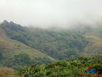 La Fundadora, una de las Primeras Haciendas Cafetaleras de Nicaragua La Fundadora, una de las Primeras Haciendas Cafetaleras de Nicaragua