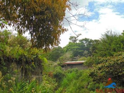 La Fundadora, una de las Primeras Haciendas Cafetaleras de Nicaragua