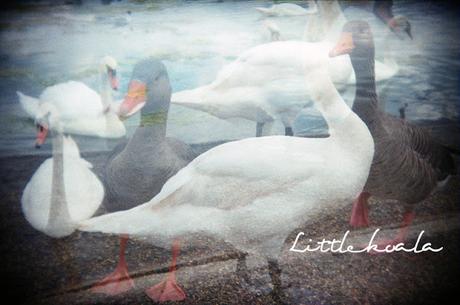 De la A a la Z: con L de Londres