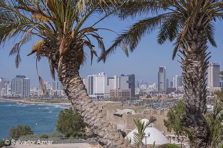 Tel Aviv, ciudad cosmopolita