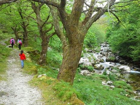 Ruta del Río Casaño