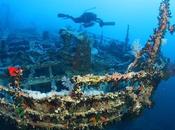 Descubriendo Sur: AIDA