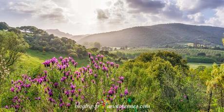Paisaje de primavera en Córcega