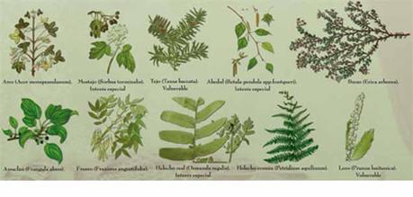 Microrreserva de Garganta de las Lanchas, Toledo