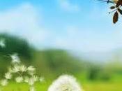 tontería inteligencia