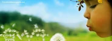 La tontería y la inteligencia