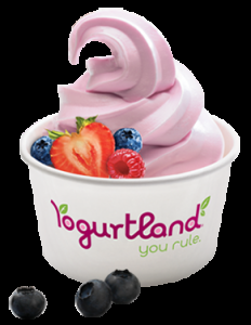 yogurt