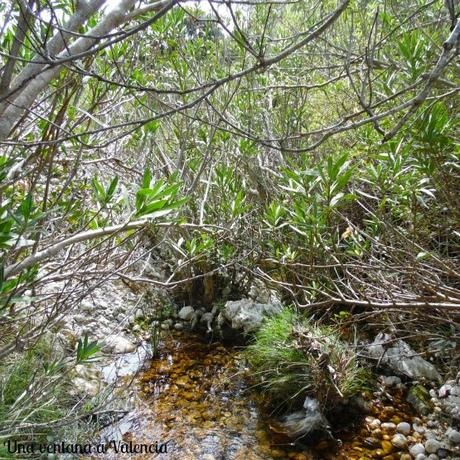 La cueva del Rull y la Vall d'Ebo