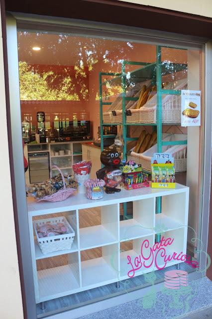 EL SUEÑO DE LA GATA CURIOSA