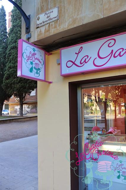 EL SUEÑO DE LA GATA CURIOSA