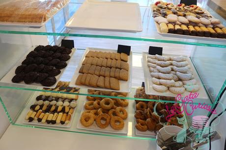 EL SUEÑO DE LA GATA CURIOSA