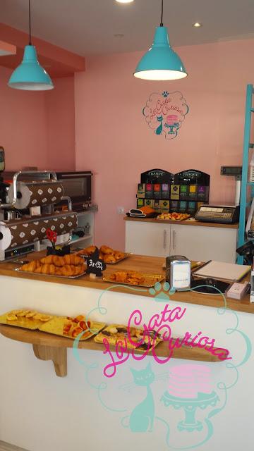 EL SUEÑO DE LA GATA CURIOSA