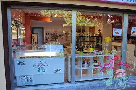 EL SUEÑO DE LA GATA CURIOSA