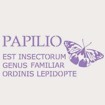 Caja papilio