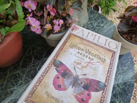 Caja papilio Caja papilio