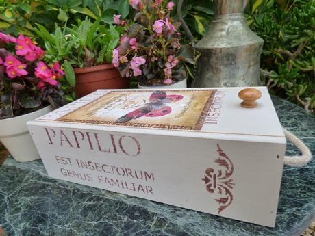 Caja papilio