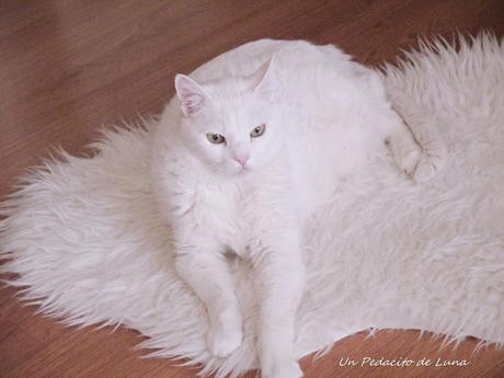 Decoramos un candelabro?