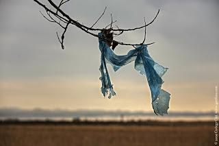 Directiva (UE) 2015/720 sobre bolsas de plástico