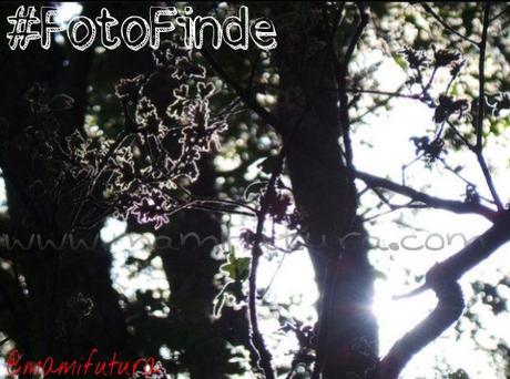 #FotoFinde LXVI #FotoFinde LXVI