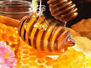 Trucos Caseros para Eliminar las Plagas en Tu Hogar