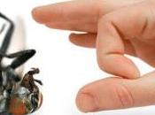 Trucos Caseros para Eliminar Plagas Hogar