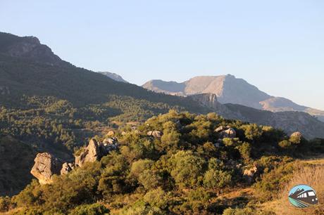 Las vistas del jardín