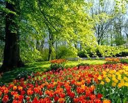 TAG SUGESTÕES PRIMAVERALES