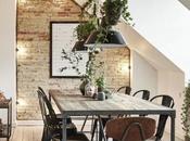 Decorar salón plantas. Añade naturalidad estancias