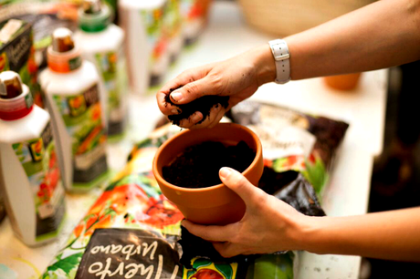 Tener un Huerto Urbano es muy fácil by #MiHuertoCompo