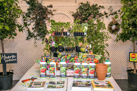 Tener un Huerto Urbano es muy fácil by #MiHuertoCompo