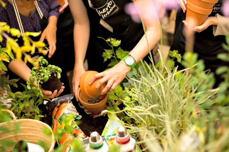 Tener un Huerto Urbano es muy fácil by #MiHuertoCompo