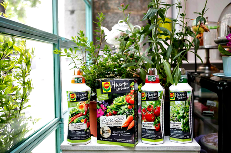 Tener un Huerto Urbano es muy fácil by #MiHuertoCompo