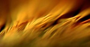 Blog_SecretoPentecostes_Fire