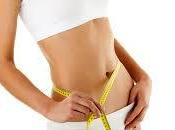 Chitosán, fibra dietética para absorber grasas