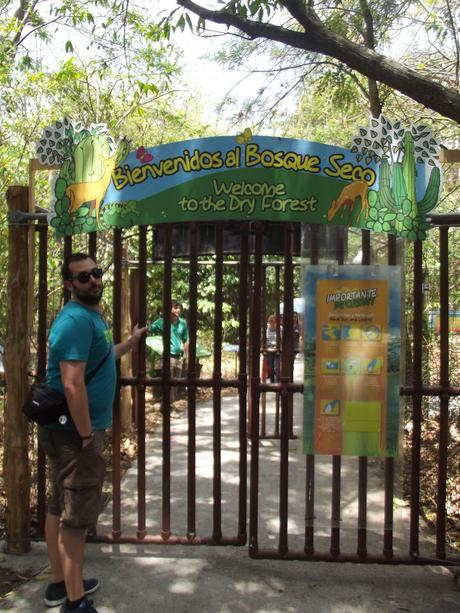 INBioparque: un buen punto para iniciar tu visita a Costa Rica INBioparque: un buen punto para iniciar tu visita a Costa Rica