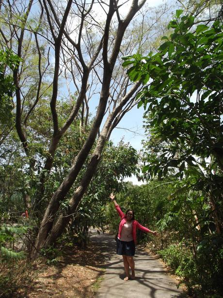 INBioparque: un buen punto para iniciar tu visita a Costa Rica INBioparque: un buen punto para iniciar tu visita a Costa Rica