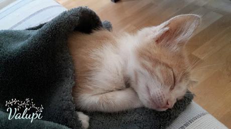 Outfit low cost: Kimono DIY