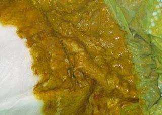 heces-definitivas-con-lm_mamiclic