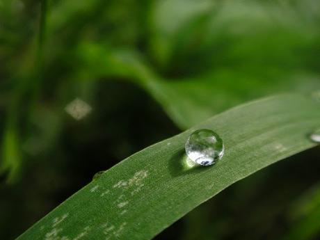 GTD. Obtener una mente como el agua