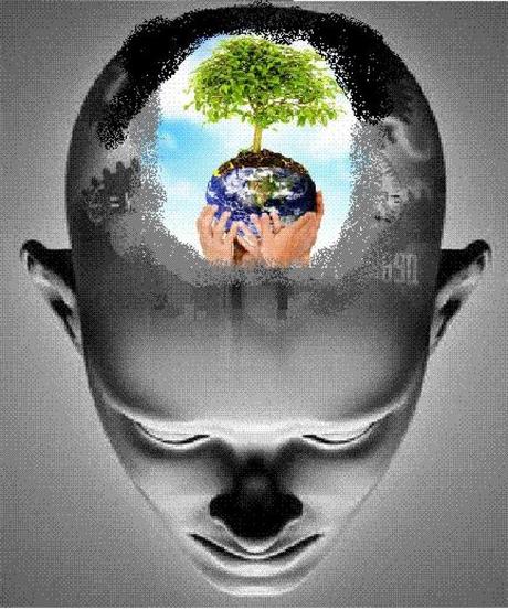 Más palabras para la conciencia