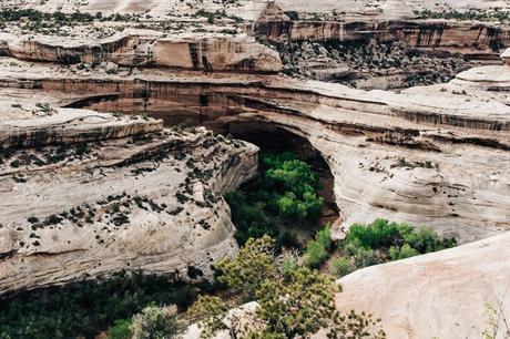 Gooseneck_State_Park-Glen_Canyon-Natural_Bridges-Utah-Chicwish-Off_The_Shoulders_Dress-Red-Converse-Collage_Vintage-Road_Trip-101