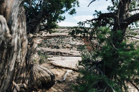 Gooseneck_State_Park-Glen_Canyon-Natural_Bridges-Utah-Chicwish-Off_The_Shoulders_Dress-Red-Converse-Collage_Vintage-Road_Trip-85