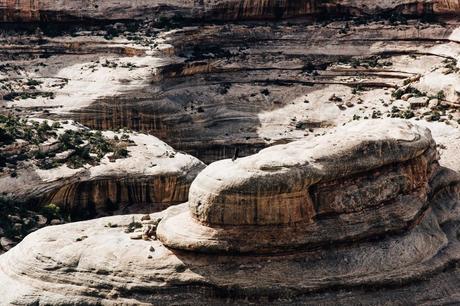 Gooseneck_State_Park-Glen_Canyon-Natural_Bridges-Utah-Chicwish-Off_The_Shoulders_Dress-Red-Converse-Collage_Vintage-Road_Trip-75