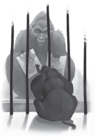 Reseña: El único e incomparable Iván, de Katherine Applegate