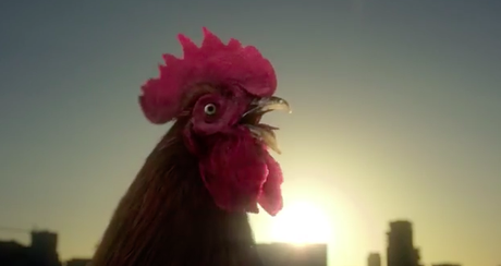 Desayuno, luego existo