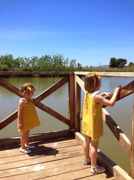 Un paseo por L'Estany de Nules
