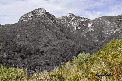 El mejor mirador del Delta del Ebro: Roca Foradada
