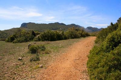 El mejor mirador del Delta del Ebro: Roca Foradada