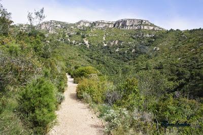 El mejor mirador del Delta del Ebro: Roca Foradada