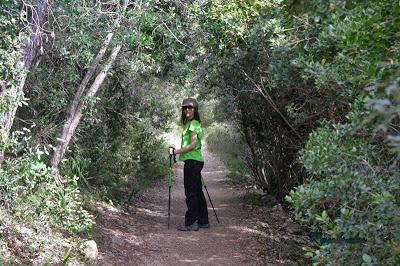 El mejor mirador del Delta del Ebro: Roca Foradada